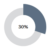 Grafico a Torta - 30%