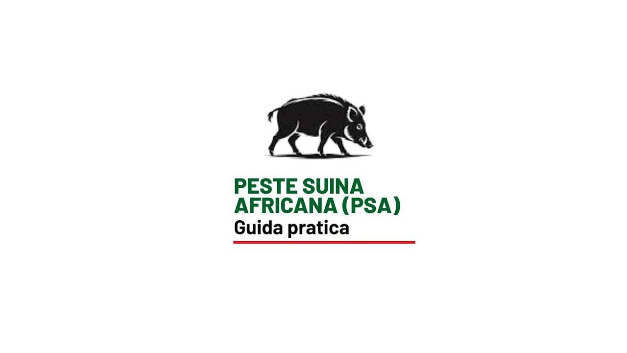 Immagine con sagoma stilizzata di un cinghiale e testo “Peste Suina Africana (PSA) – Guida pratica”, dedicata alla prevenzione e gestione della malattia.
